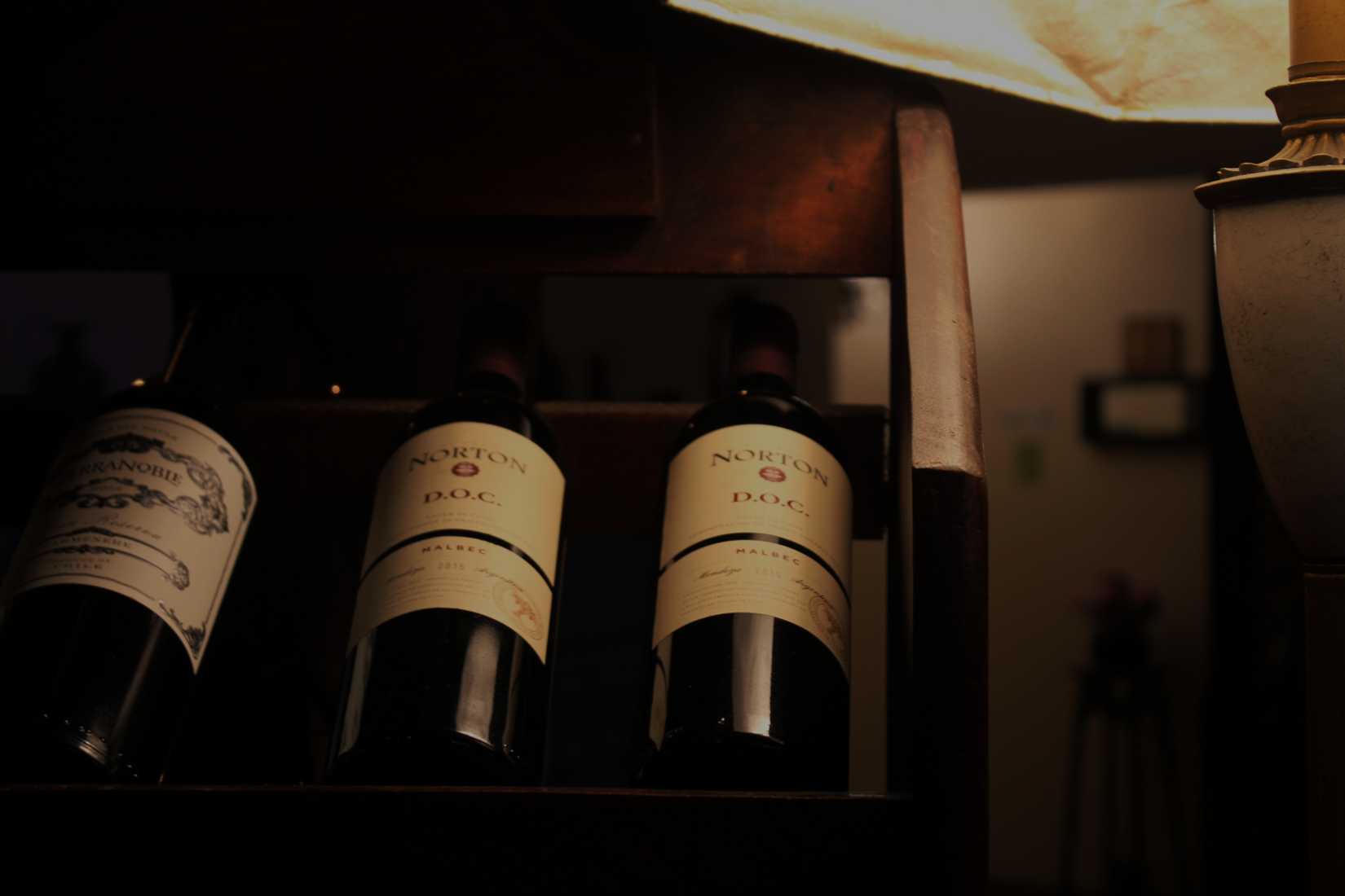 ¡Vive y explora nuestro mundo del vino!